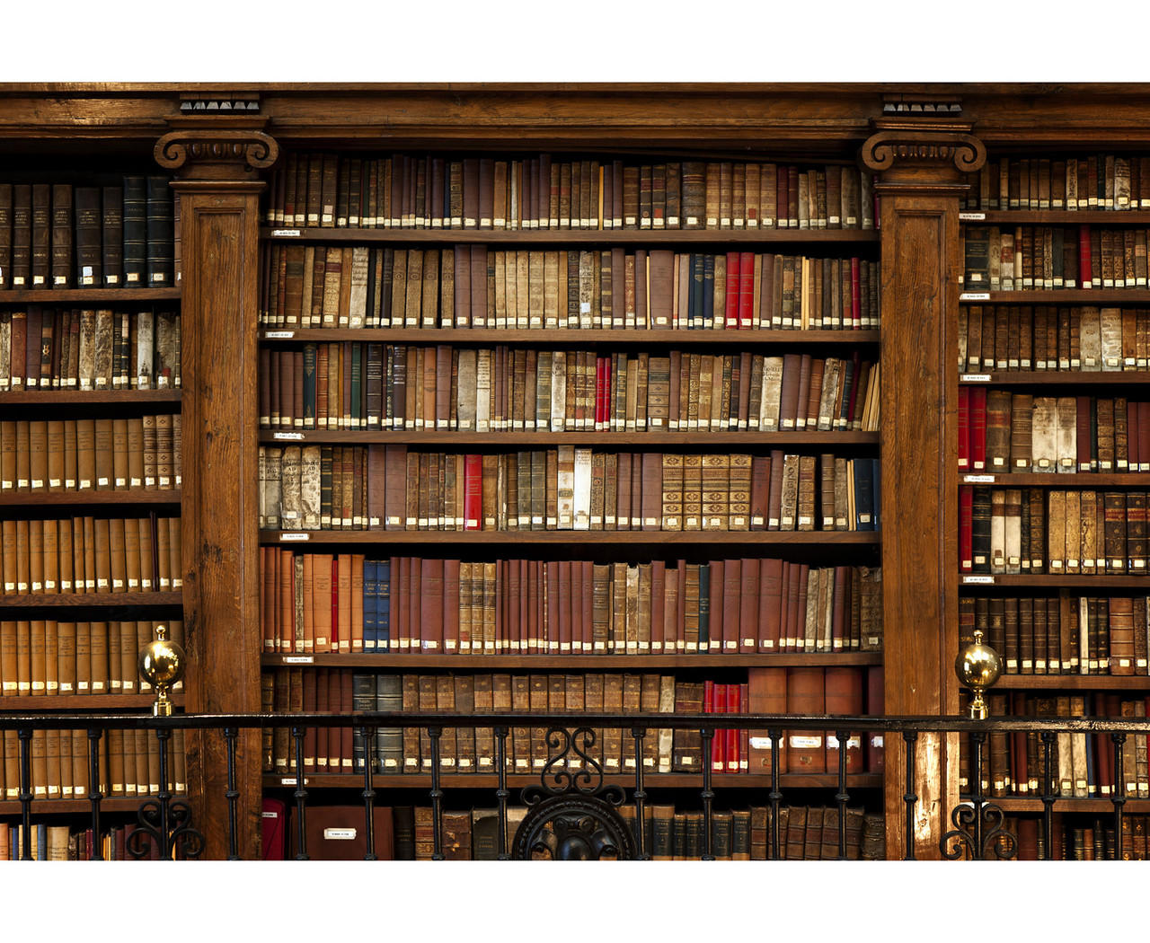 Old Library Bookshelves
