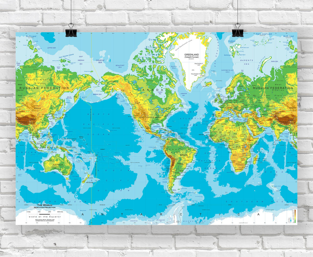 Physical World Wall Map - Mercator Projection