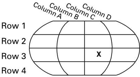 define grid mapping