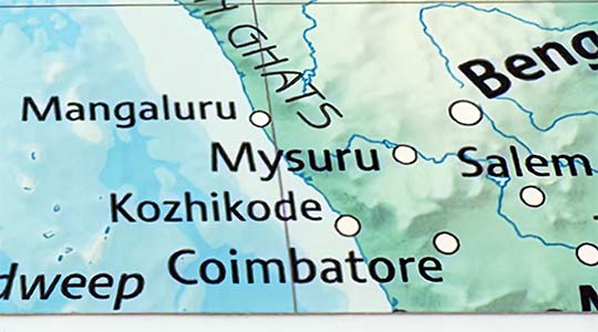 Durable Smooth Type II Wallpaper