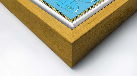 Gold Wood Floater Frame