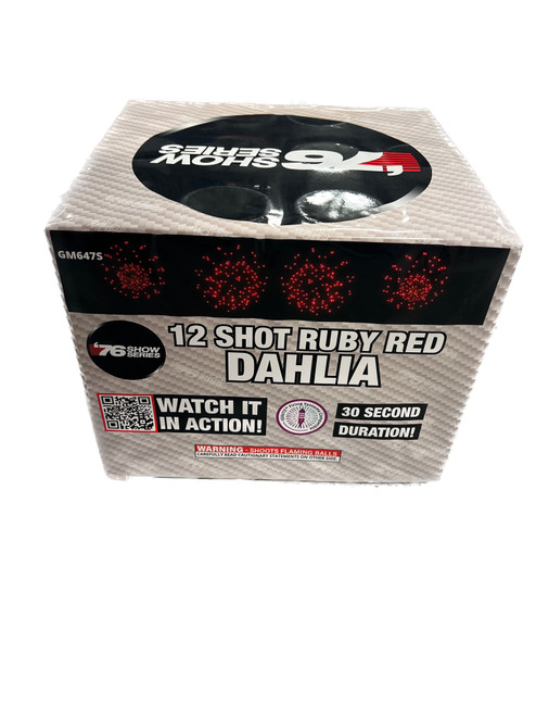 12s Red Dahlia (30sec) (Show)