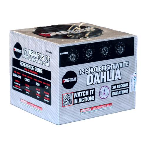 12s White Dahlia (30sec)