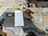 CAT Caterpillar 3126 Engine USED salvage engine - WE SHIP COMES ON CAT STAND