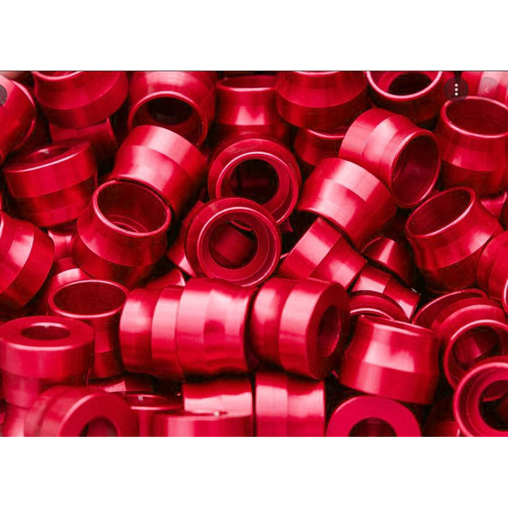 Santoro Fabworx Deluxe Chacho Engine Bolt Kit for Harley Twin Cam