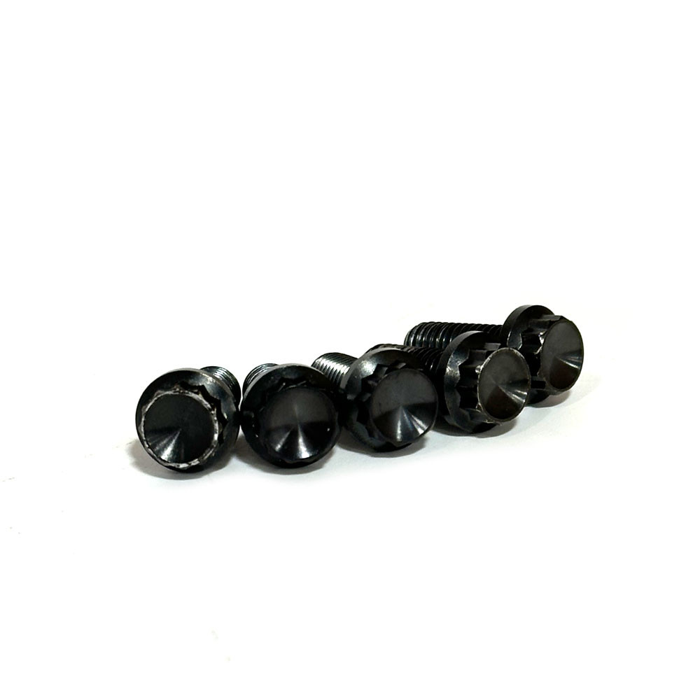 Kraus Black Titanium Front 8mm Brake Rotor Hardware Kit for Harley