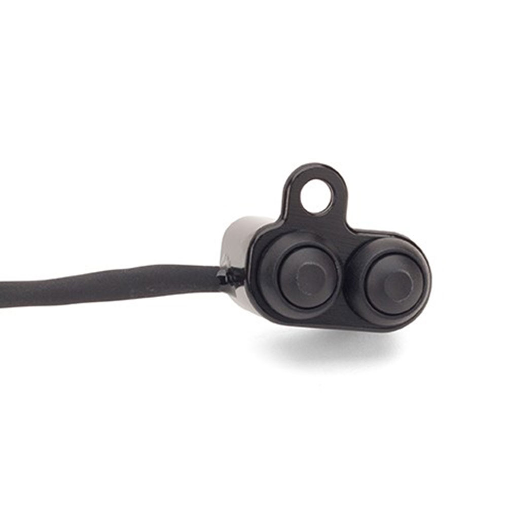 arnott harley air ride