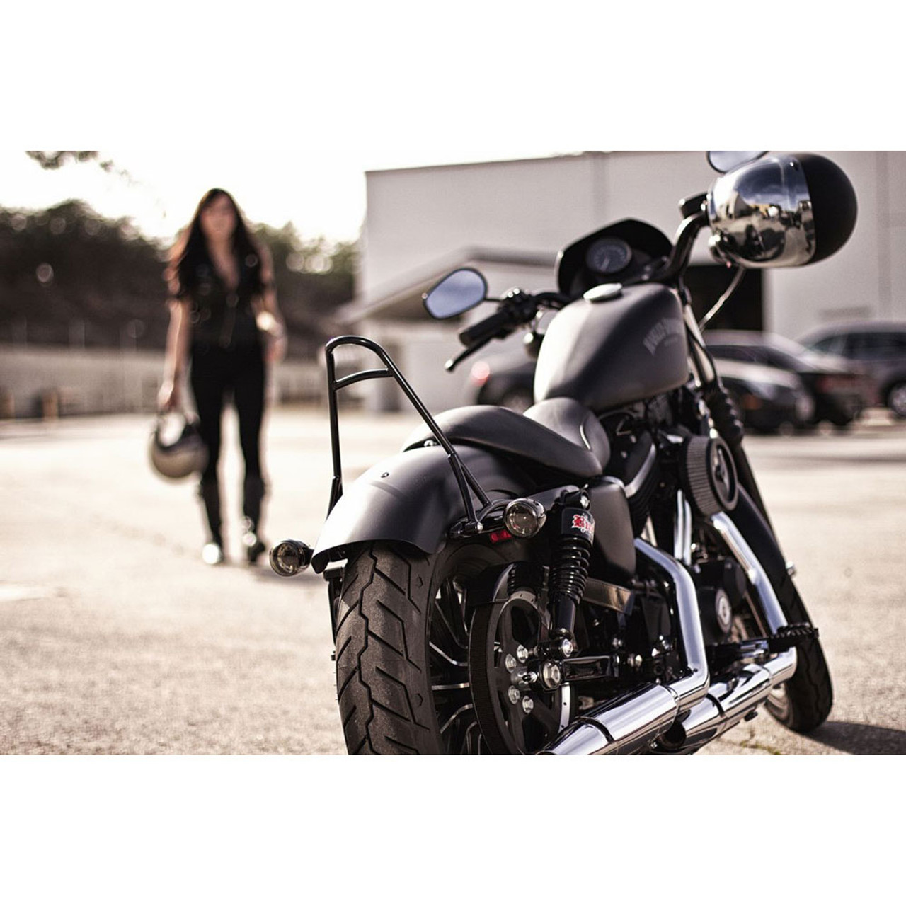 sportster with sissy bar