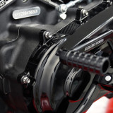 Arlen Ness Primary Cover Titanium 12-Point Bolt Kits for Harley - Polished