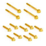 Arlen Ness Primary Cover Titanium 12-Point Bolt Kits for Harley - Gold
