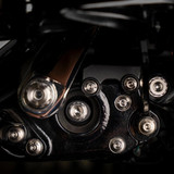 Trask Bitchin' Bolts M8 Peg Mount 12-Point Bolt Kit