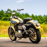 Custom Dynamics Low Profile LED Tail Light w/ Integrated Turn Signals for Harley
