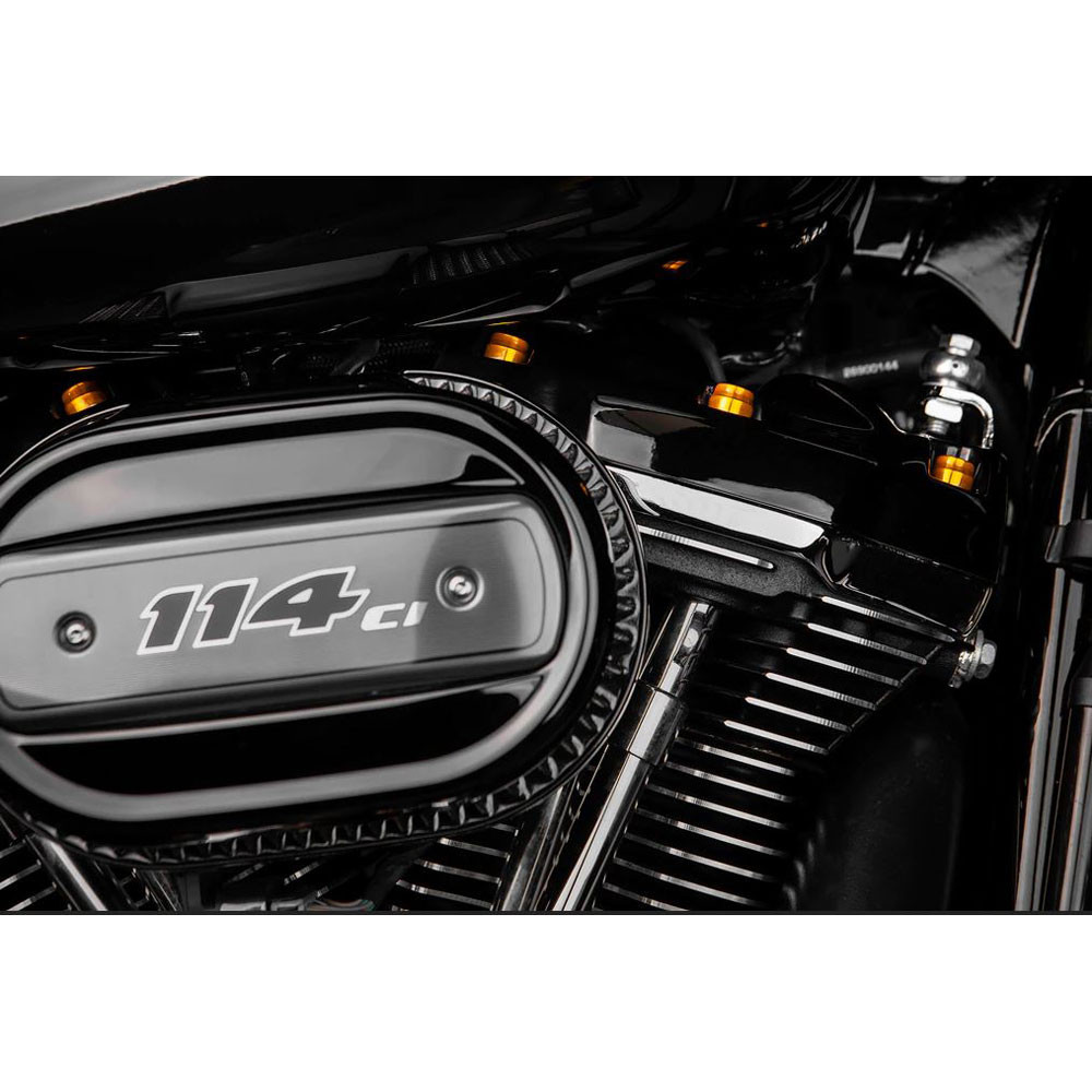 Santoro Fabworx Deluxe Chacho Engine Bolt Kit for Harley Twin Cam