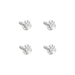Arlen Ness Titanium 12-Point Windshield Bolts for 2015-2025 Harley Road Glide - Polished