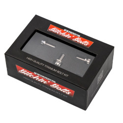 Trask Bitchin' Bolts M8 Derby Cover 12-Point Bolt Kit