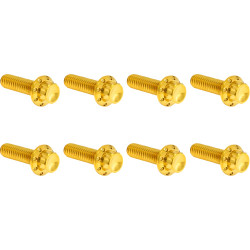 Arlen Ness Trap Door Titanium 12-Point Bolt Kits for Harley - Gold