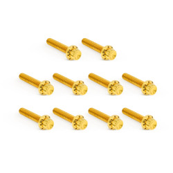 Arlen Ness Cam Cover Titanium 12-Point Bolt Kits for Harley - Gold