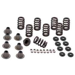 S&S Heavy Duty Valve Spring Kit for 2017-2023 Harley M8