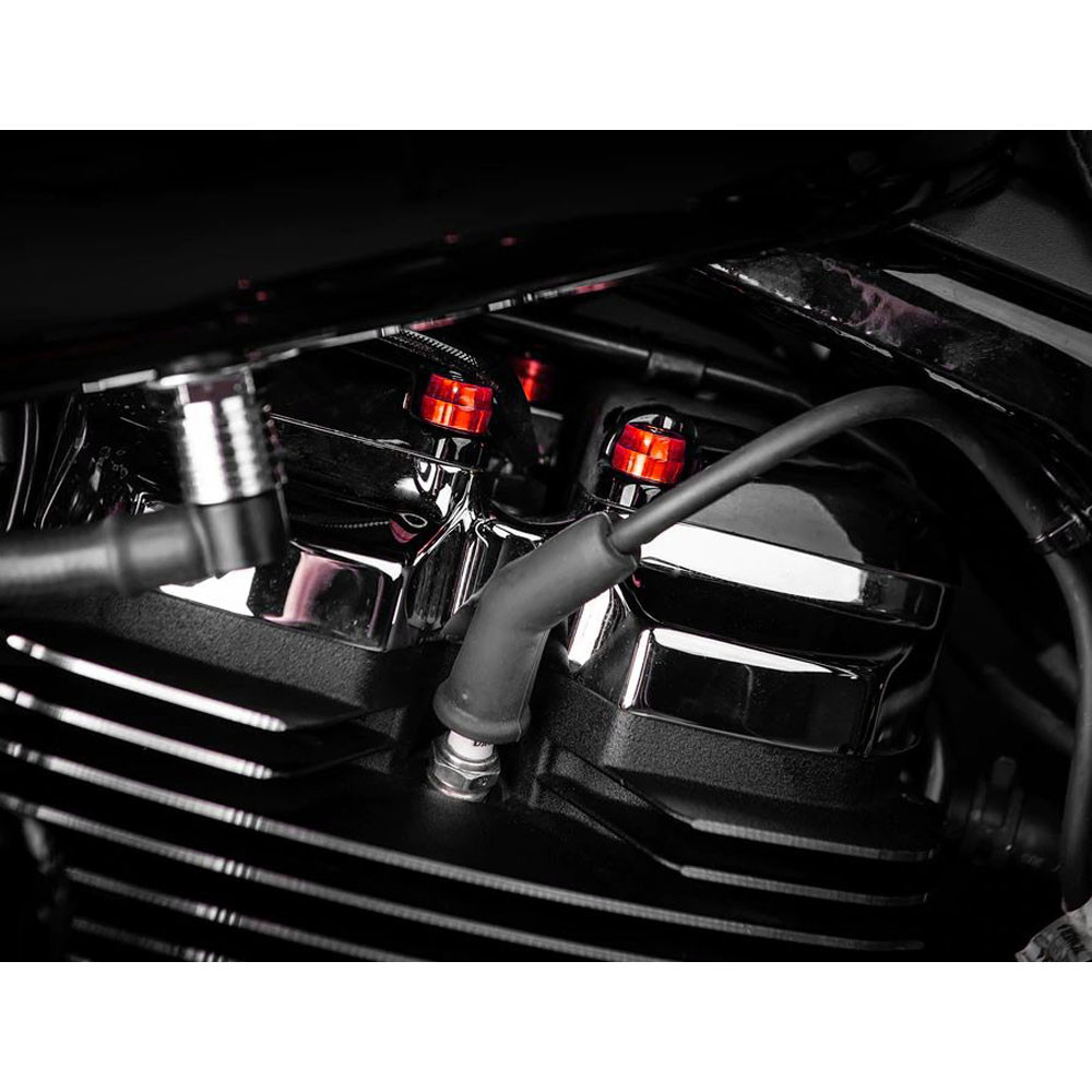 Santoro Fabworx Deluxe Chacho Engine Bolt Kit for Harley M8 Softail