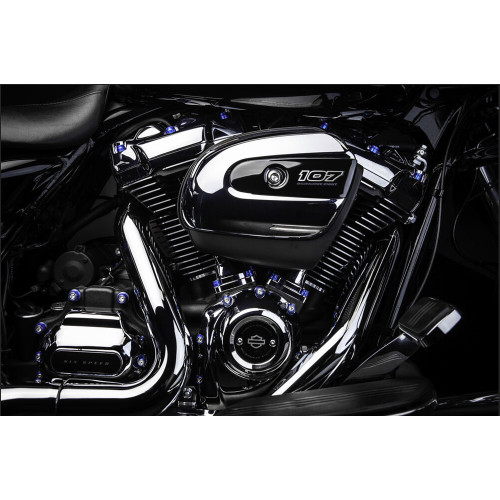 Santoro Fabworx Deluxe Chacho Engine Bolt Kit for Harley M8 Softail/Touring - Purple