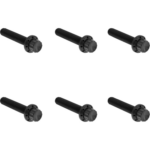 Arlen Ness Transmission Side Cover Titanium 12-Point Bolt Kits for Harley - Black