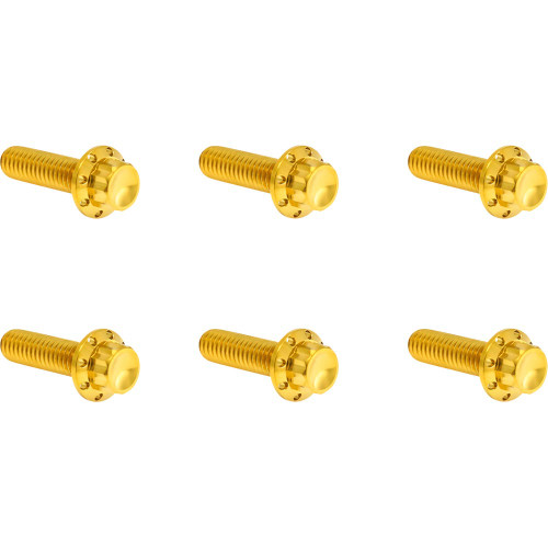 Arlen Ness Transmission Top Cover Titanium 12-Point Bolt Kits for Harley - Gold