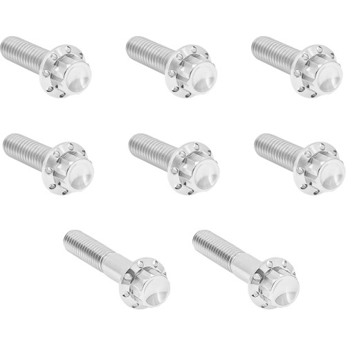 Arlen Ness Trap Door Titanium 12-Point Bolt Kits for Harley - Polished
