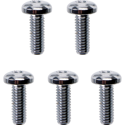 Gardner Westcott Front Brake Rotor Hardware for Harley - Torx