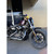 Bung King Sky Scraper Highway Peg Crash Bar for Harley Sportster