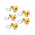 Arlen Ness Titanium Floating Rotor Hardware for Dyna & V-Rod - Gold