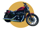 Sportster Parts