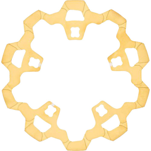 Lyndall Brake Rotor w/ Gas Slots for 2014-2023 Harley Touring Enforcer/Prodigy Wheel - Gold