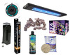 Reef-Licious Choice For BEGINNER New Aquarium Set Up Essential Kit (NUVO Fusion LONG 20)