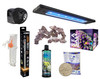 Reef-Licious Choice For BEGINNER New Aquarium Set Up Essential Kit (Tideline AIO Aquarium - 20.5G Peninsula *LOCAL ONLY, NO OUT OF STATE SHIPPING*)