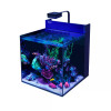 33 Gallon LIVE CORALS REEF WITH FISH Aquarium Complete Set Up (LOCAL ONLY, NO OUT OF STATE*)