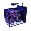 26 Gallon LIVE CORALS REEF WITH FISH Aquarium Complete Set Up (LOCAL ONLY, NO OUT OF STATE*)