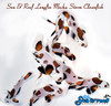 + Longfin Mocha Storm Clownfish