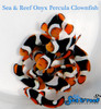 + Onyx (C-Quest line) Clownfish *PLEASE CONTACT FOR AVAILABILITY BEFORE ORDERING