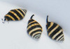 * Bumble Bee Snail