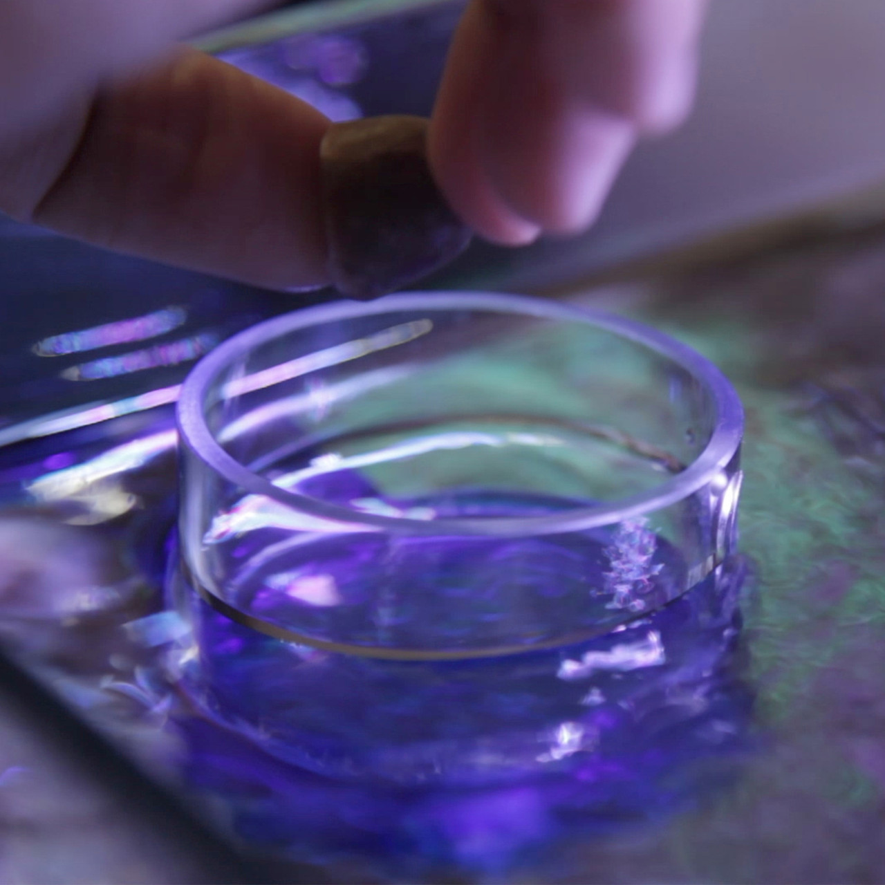 Gourmet Defroster Pro Magnetic Frozen Fish Food Feeder