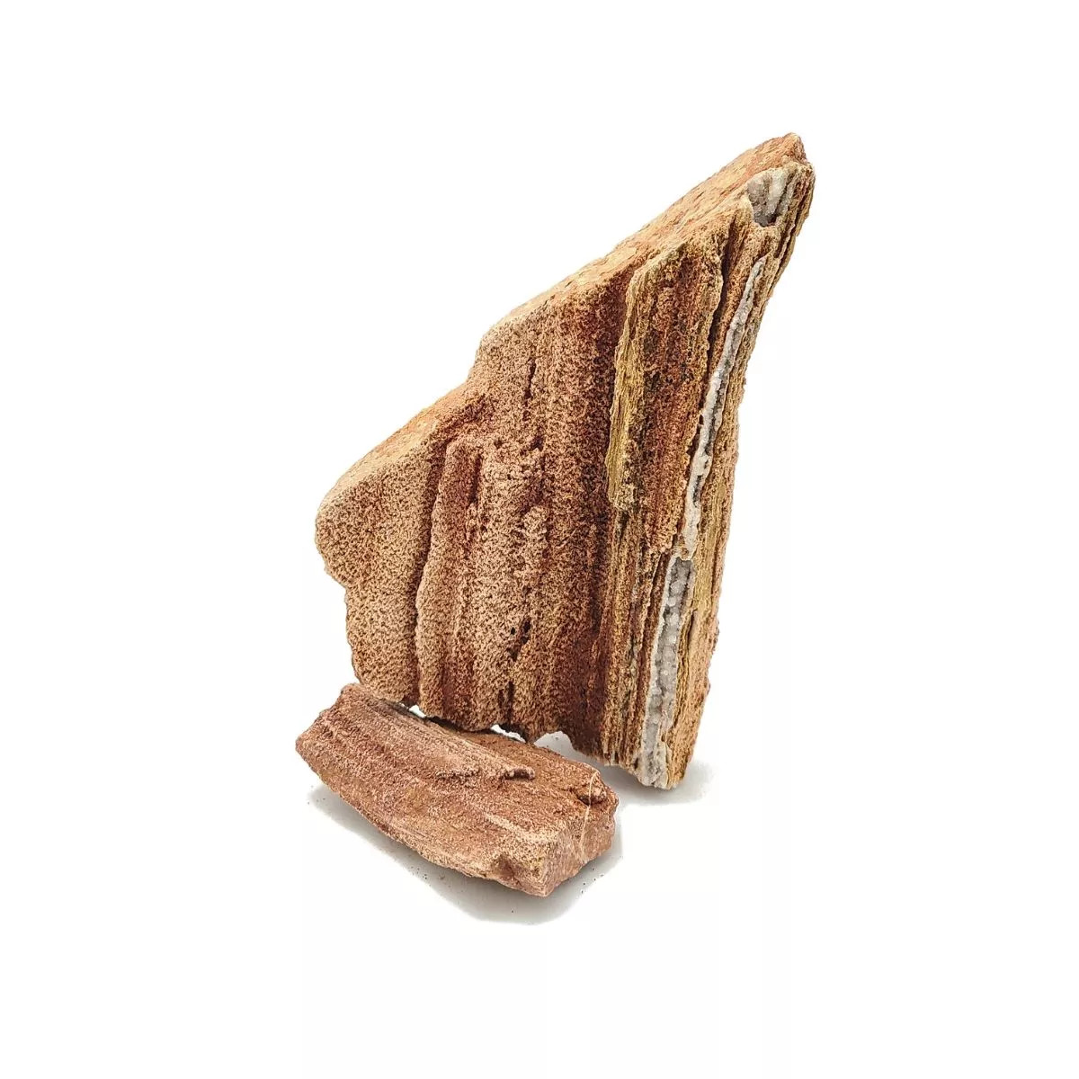 Petrified Wood By Pound: $4.50 Per Pound *LOCAL ONLY, NO OUT OF STATE SHIPPING/Price Match Guarantee*