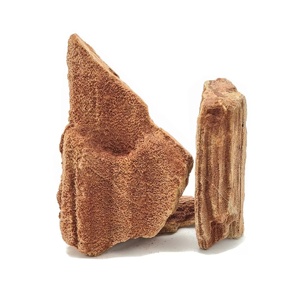 Petrified Wood By Pound: $4.50 Per Pound *LOCAL ONLY, NO OUT OF STATE SHIPPING/Price Match Guarantee*