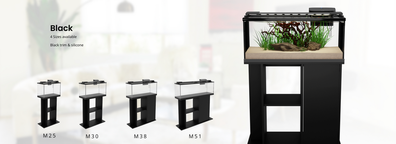 25 - 51 Gallon Fresh Water Aquarium Set Up (RIO RANCHO)