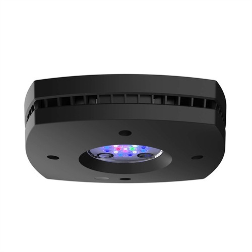 AI Prime 16 HD LED Reef Light - Black