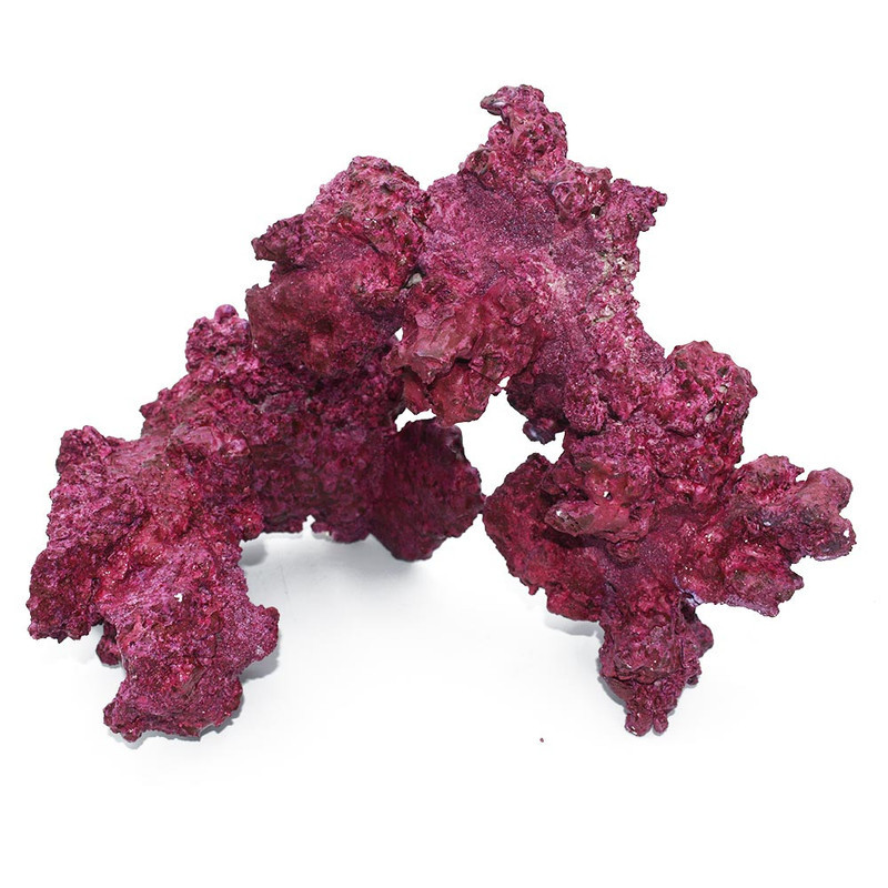 Real Reef Arches Medium Rock $39 Each *LOCAL ONLY, NO OUT OF STATE SHIPPING*