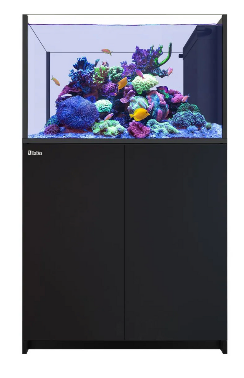 RED SEA REEFER Peninsula 350 G3 Aquarium System (73 Gallons)
