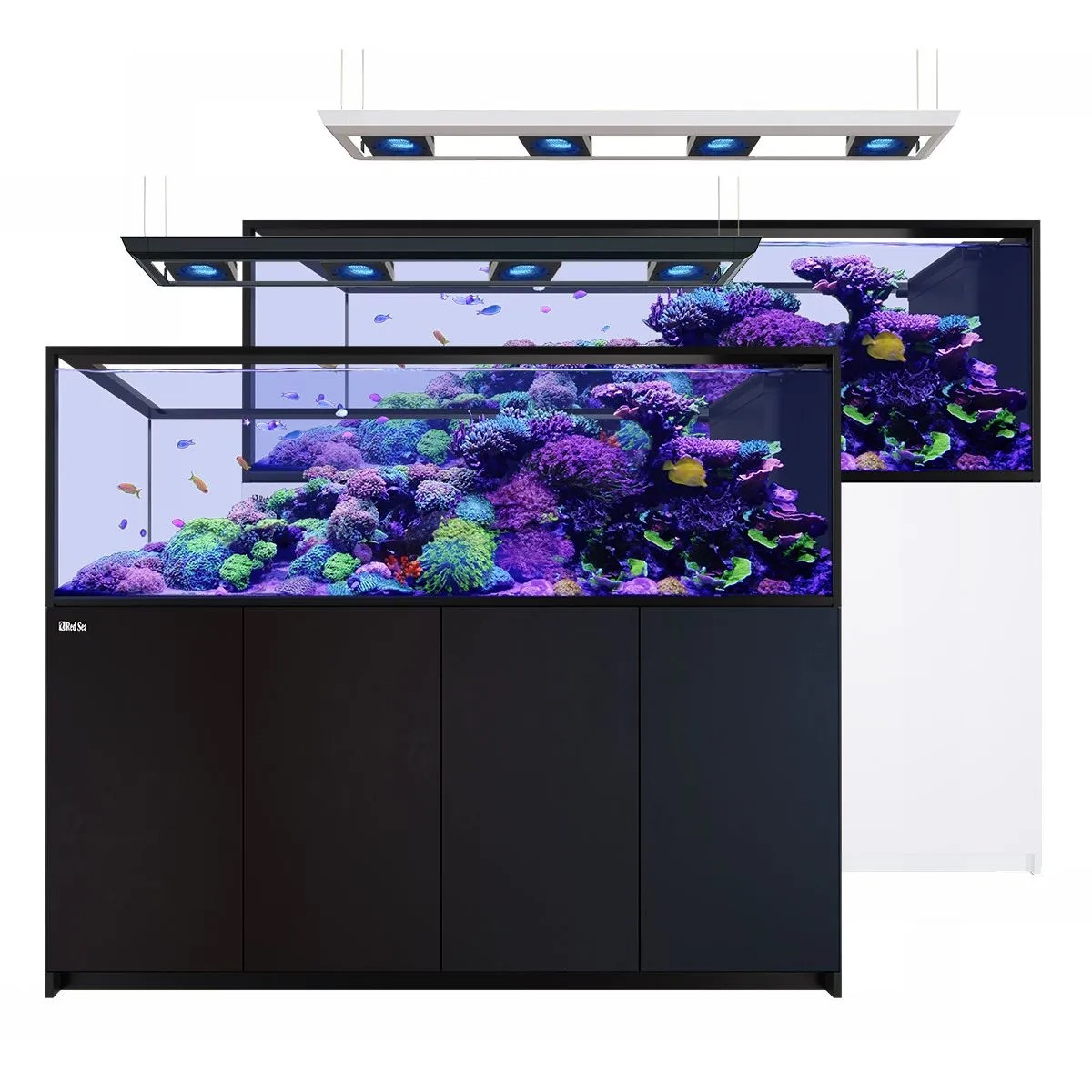 RED SEA REEFER Deluxe Peninsula S-950 G3 Aquarium System (200 Gallons) (incl. 4 x ReefLED 170)