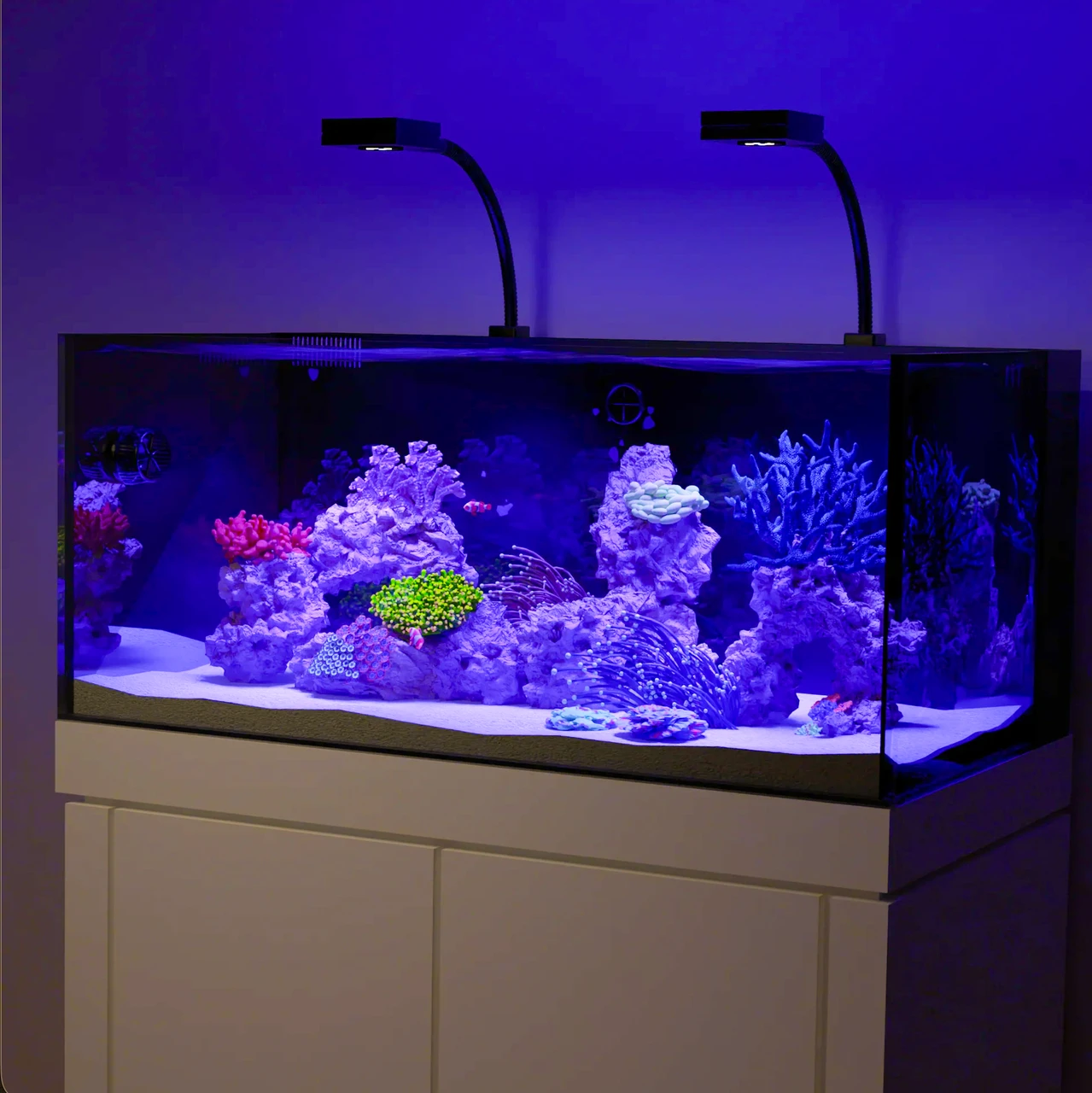 47 Gallon LIVE CORALS REEF WITH FISH Aquarium Complete Set Up (LOCAL ONLY, NO OUT OF STATE*)