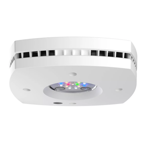 AQUAILLUMINATION Prime 16 LED Freshwater Light