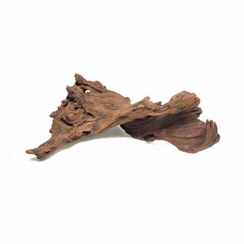 Malaysian Driftwood